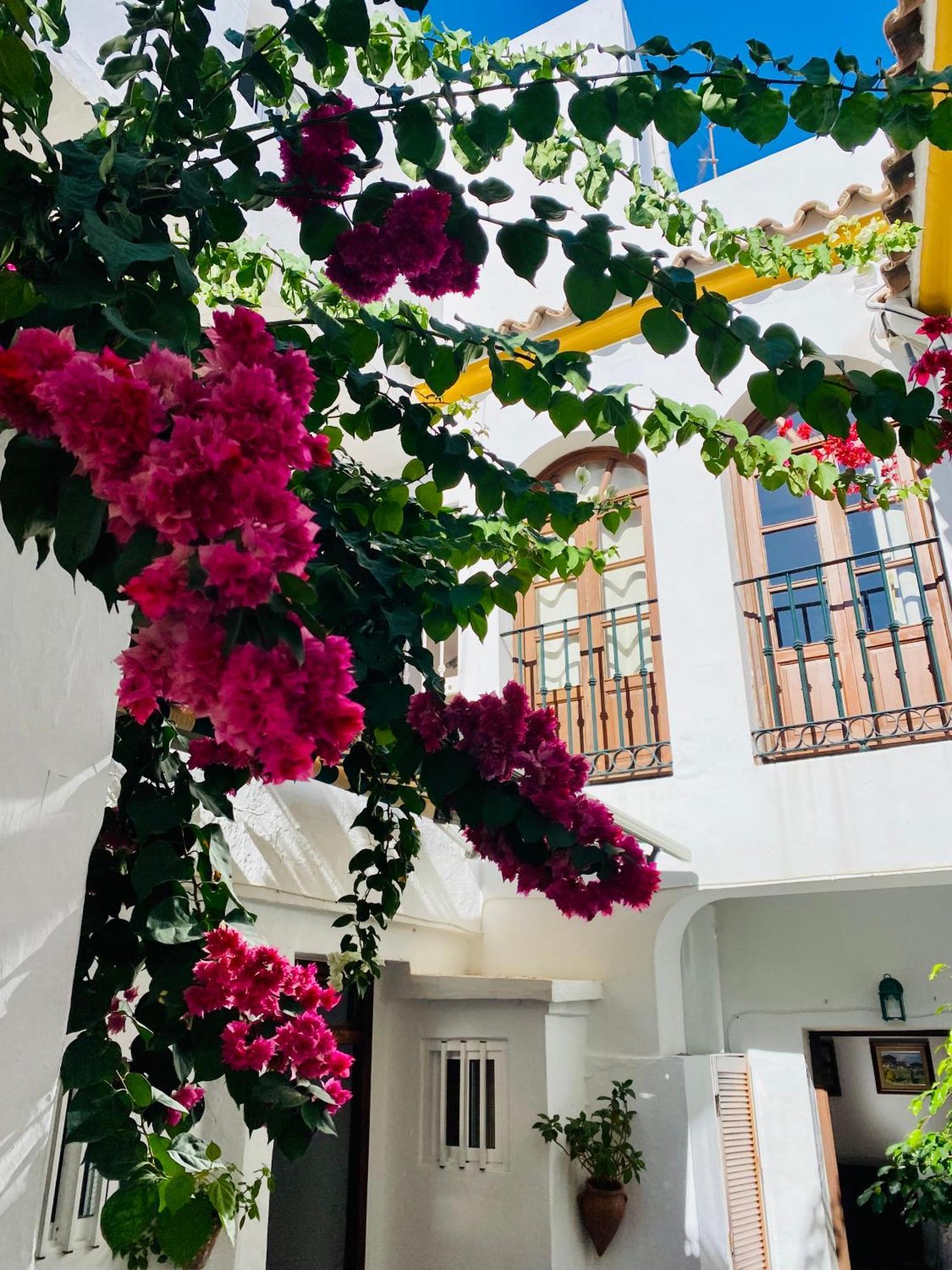 Tarifa Townhouse Apartment Екстериор снимка